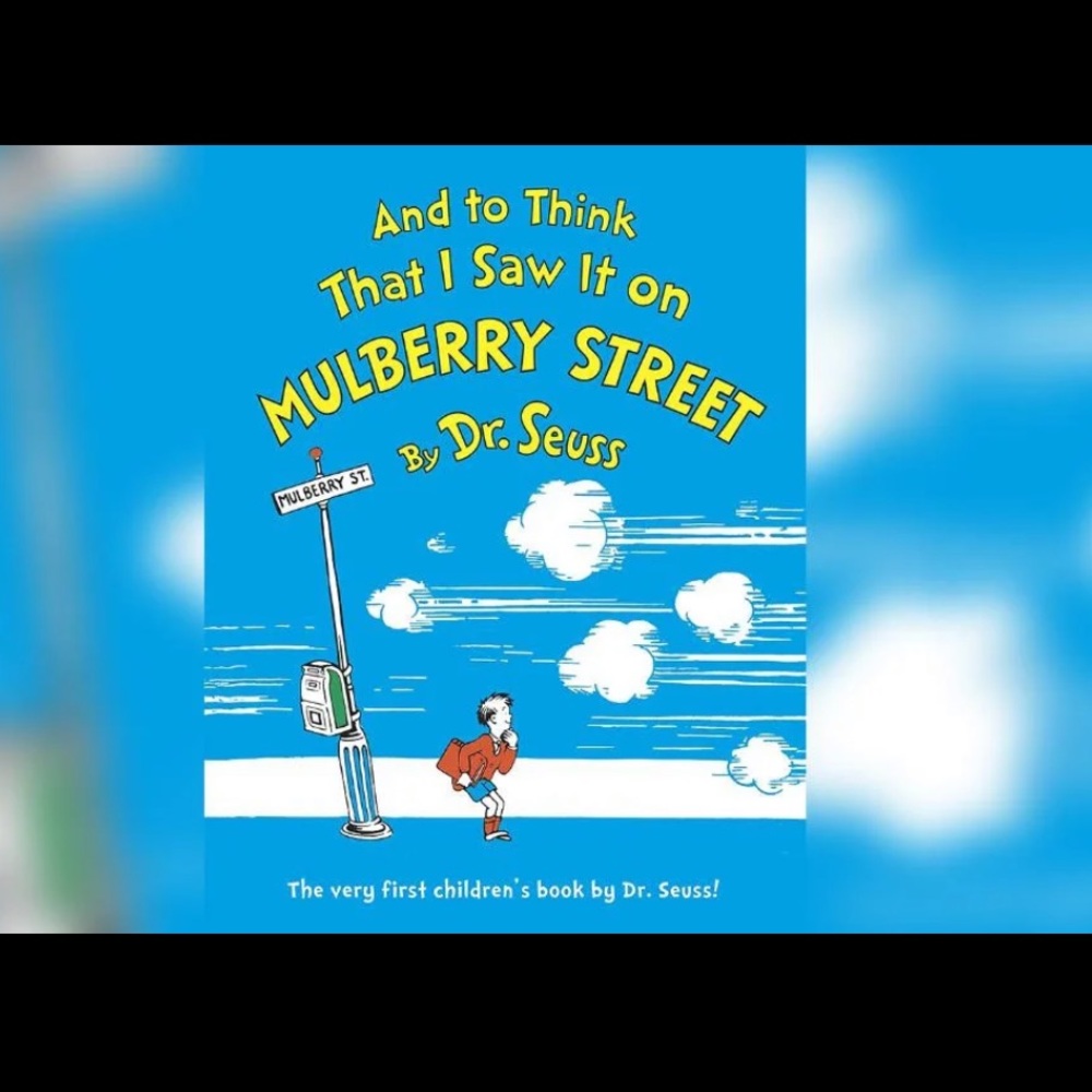 Dr Seuss Mulberry Street book like new
